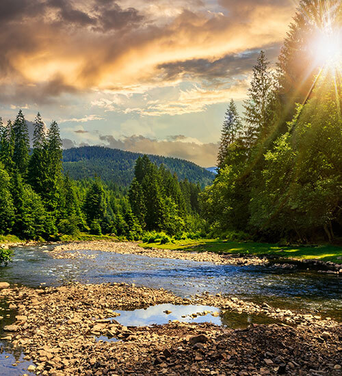 Massachusetts Homes and Real Estate For Sale Bean Group REALTORS