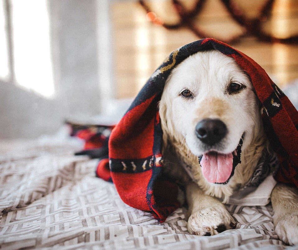 Bean Group Real Estate. Real People. Real Results. NH ME MA VT REALTORS